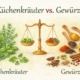 Beitrag Küchenkräuter vs. Gewürz